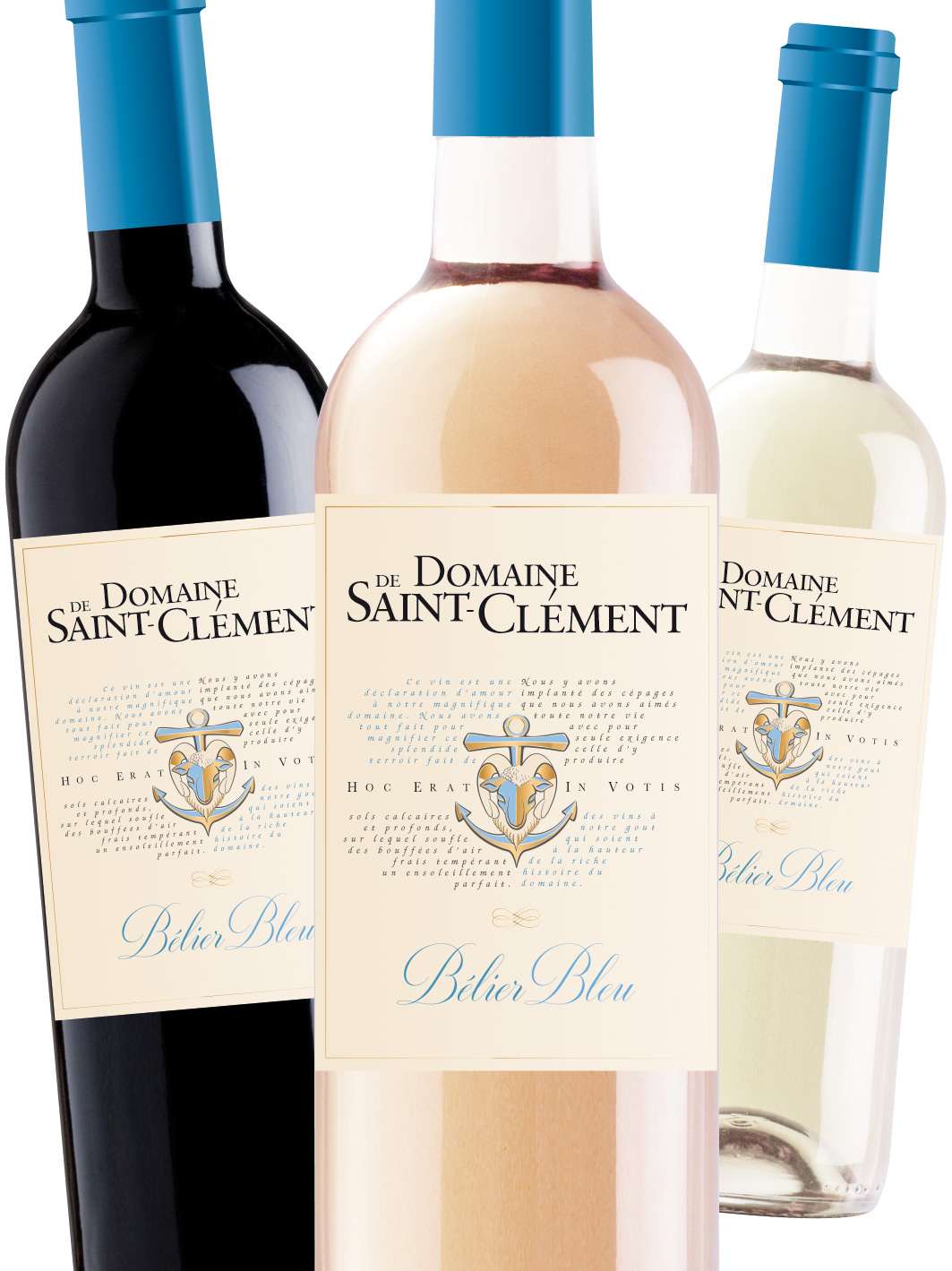 Graphiste Design Vin : exemple de création d'une gamme d'étiquette de vin avec blason