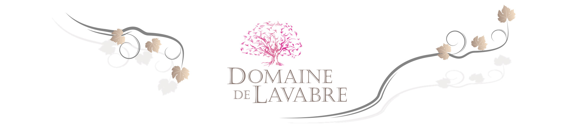 Bloc marque et logo avec le design du Domaine de Lavabre - Vins
